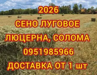 Зображення для оголошення Сено сіно солома в тюках мешках от производителя с доставкой