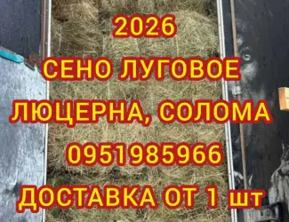 Зображення для оголошення Сено в тюках для лошадей