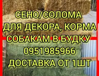 Зображення для оголошення Хозяйство предлагает сено луговое, солому, люцерну, солому с доставкой по Украине