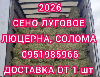 Зображення для оголошення Хозяйство предлагает сено луговое