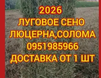 Зображення для оголошення Сено / солома в тюках. Доставка. Отличное качество