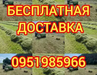 Зображення для оголошення Б.н. расчёт, большие объёмы, доставка по Украине. Луговое сено, люцерна, солома