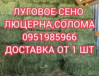 Зображення для оголошення Б.н. расчёт