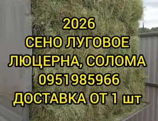 Зображення для оголошення СЕНО различных видов. Доставка. Объёмы. Есть безналичный расчёт