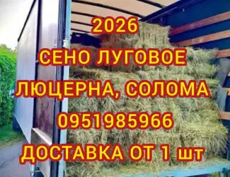Зображення для оголошення Луговое сено. Люцерна в тюках. Доставка. Б/н