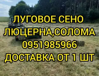 Зображення для оголошення Сено луговое