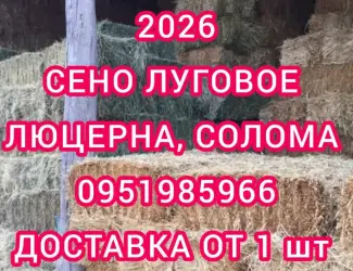 Зображення для оголошення Продам ЛУГОВОЕ сено и ЛЮЦЕРНУ в тюках с доставкой по Украине