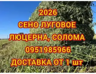Зображення для оголошення Продам луговое сено и люцерну в тюках. Привоз на дом / на ферму