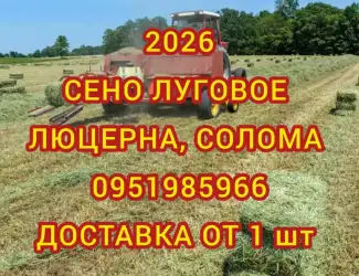 Зображення для оголошення В наличии 300 тонн сена. Доставка по Украине