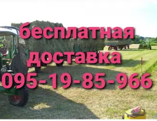 Зображення для оголошення Продам сено люцерны, луговое в тюках. Большой объём. Доставка бесплатная
