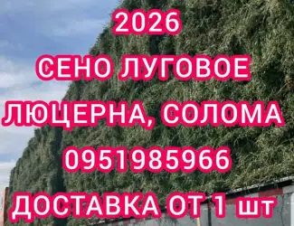 Зображення для оголошення Продам сено люцерны