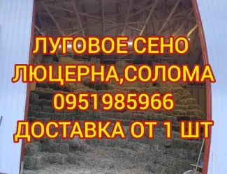Зображення для оголошення Продажа сена для лошадей
