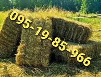Зображення для оголошення Оптовая продажа лугового сена, люцерны с доставкой по Украине