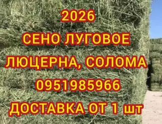 Зображення для оголошення Оптовая/поштучная продажа лугового сена