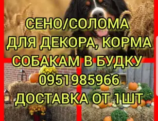Зображення для оголошення Сено в тюках мешках, солома в тюках мешках. Для корма, на подстилку