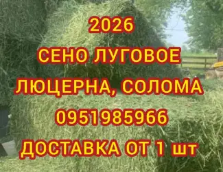 Зображення для оголошення Сено в тюках мешках