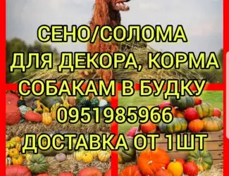 Зображення для оголошення Бесплатная доставка по Украине. Луговое, люцерна, солома в тюках мешках