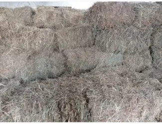 Зображення для оголошення Продам тюковане сіно різнотрав'я