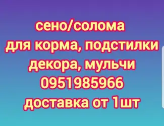Зображення для оголошення Бесплатная доставка СЕНА в тюках мешках, соломы пшеничной, ячневой
