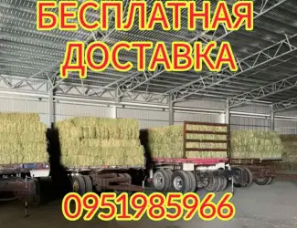 Зображення для оголошення БЕСПЛАТНАЯ доставка сена лугового, люцерны, соломы в тюках
