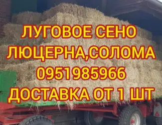 Зображення для оголошення Доставка сена лугового