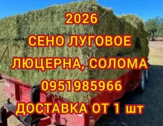 Зображення для оголошення Сено сіно в тюках