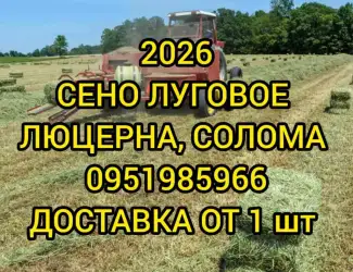 Зображення для оголошення Сено луговое разнотравье