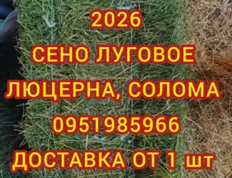 Зображення для оголошення Продажа сена различных видов в тюках мешках. Привоз