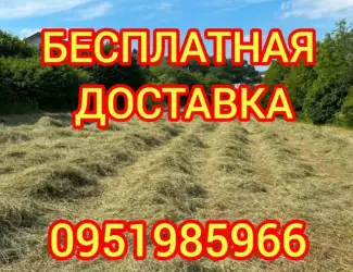 Зображення для оголошення СЕНО в тюках. Большие объёмы. Луговое, люцерна, солома в тюках с бесплатной доставкой