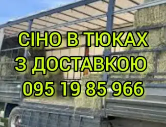 Зображення для оголошення СЕНО в тюках. Большие объёмы. Луговое