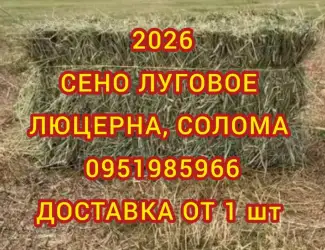 Зображення для оголошення Сено