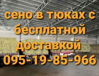 Зображення для оголошення Есть в наличии! Большие объёмы. Сено люцерны, луговое, солома. Бесплатная доставка