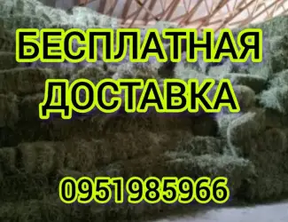 Зображення для оголошення ЛЮЦЕРНА в тюках с бесплатной доставкой. Есть б.н. Объёмы. Качество