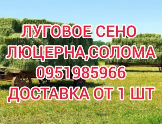 Зображення для оголошення ЛЮЦЕРНА в тюках с доставкой. Есть б.н. Объёмы. Качество