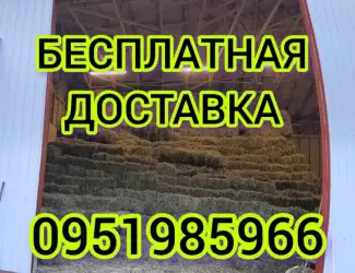 Зображення для оголошення Сено люцерны в тюках. Бесплатная доставка по Украине. Объёмы
