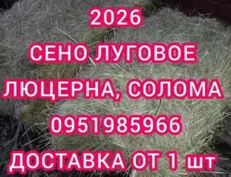 Зображення для оголошення Сено люцерны в тюках. доставка по Украине. Объёмы