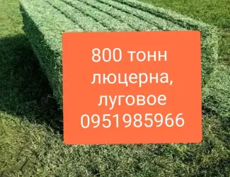 Зображення для оголошення СЕНО для КРС, лошадей, овец. Доставка бесплатная по Украине. Есть б.н. расчёт
