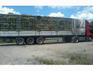 Зображення для оголошення Сено люцерны
