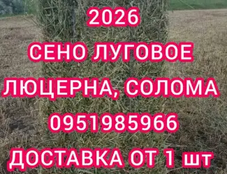 Зображення для оголошення Люцерна в тюках
