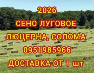 Зображення для оголошення Продам луговое сено. Сено люцерны в тюках. Доставка