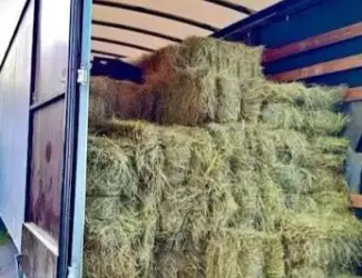 Зображення для оголошення Сено солома сіно для корма животных в тюках мешках с доставкой