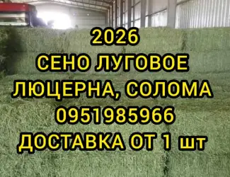Зображення для оголошення Люцерна
