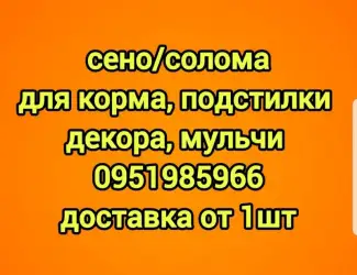 Зображення для оголошення Сено для сельхозживотных с БЕСПЛАТНОЙ доставкой. Луговое, люцерна, солома
