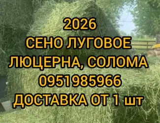 Зображення для оголошення Сено для сельхозживотных с доставкой. Луговое