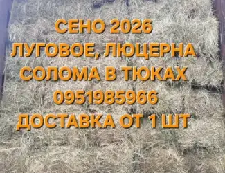 Зображення для оголошення Продам Сено для сельхоз животных. Отличное качество. Низкие цены. Доставка