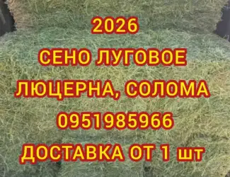 Зображення для оголошення Доставка сена в тюках мешках (луговое