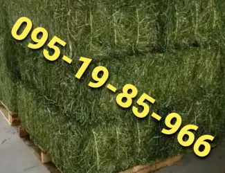 Зображення для оголошення Луговое сено, люцерна, солома с доставкой по Украине