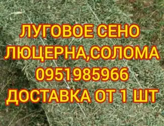 Зображення для оголошення Сено
