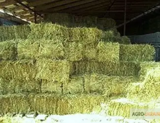 Зображення для оголошення Продам 800т люцерны, лугового сена. Наша доставка