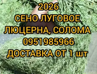 Зображення для оголошення Сено люцерны в тюках